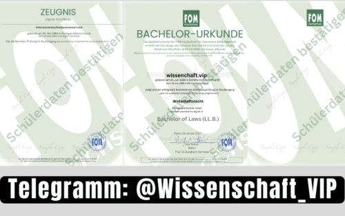 FOM Bachelor kaufen
