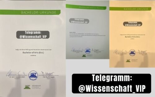 IST-Hochschule bachelor kaufen